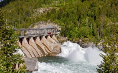 From Technical Expertise to Leadership Excellence